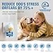Dog Calming Diffuser – 2-Pack Dog Pheromone Calming Diffuser Kit for Stress, Anxiety, Barking & Destructive Behavior Relief, Perfect for Separation Anxiety & Aggression (Blue, 2 Count (Pack of 1))