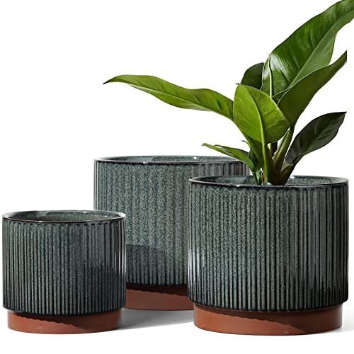 LE TAUCI Stripe Set