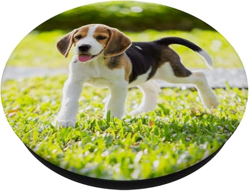 Miniatura 2 de Beagle Harrier - PopSockets intercambiables para cachorros, amantes de los perros
