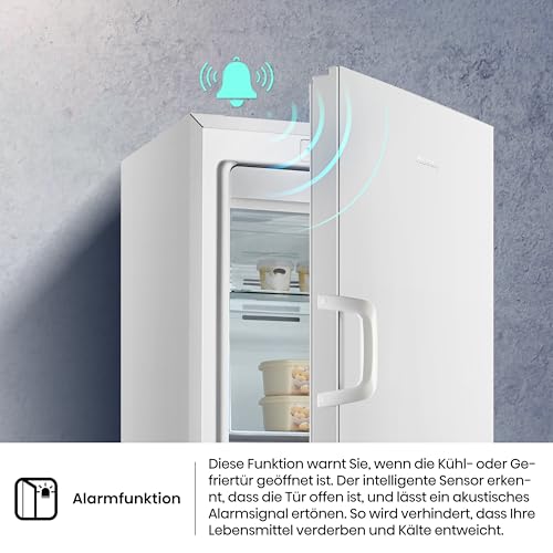 Hisense FV245N4AW2 Gefrierschrank/ TotalNoFrost/ SuperFreeze/ Türalarm/ BigBox/ 169,1 cm/ Gefrierteil 194 l/ 41 dB/ 219 kWh/ Jahr/ Inox-Look, Weiß