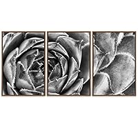 SIGNWIN Framed Canvas Wall Art Houseleek Petal Pattern Botanical Succulent Photography Minimalism Contemporary Closeup Dramatic Black and White for Living Room, Bedroom, Office - 16