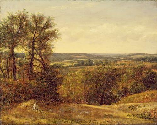 Affiche Dedham Vale par John Constable - Impression Toile Salon 60x90cm