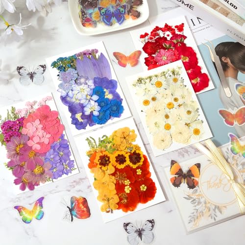 Image of 269 PCS Dried Pressed Flowers for Resin Crafts, Bulk Real Nature Pressed Flowers Set Dried Wildflowers Leaves with Butterfly Stickers Tweezers for Jewelry Making DIY Scrapbook Floral Frame Decors