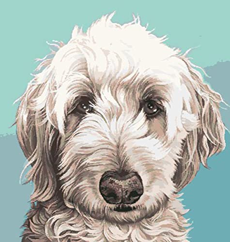 Kit de pintura de diamante 5D de perro de pelo largo manualidades DIY 30x40 cm