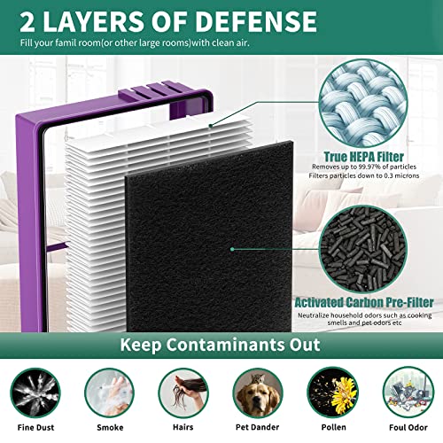 Aer1 Filters For Air Purifier Holmes, Hapf300Ap Performance Plus Filter For Holmes, Replacement Hapf300Ap-U4 (4 Ture Hepa Filters + 8 Carbon Filters + 2 Cleaning Brushes) #TOP3