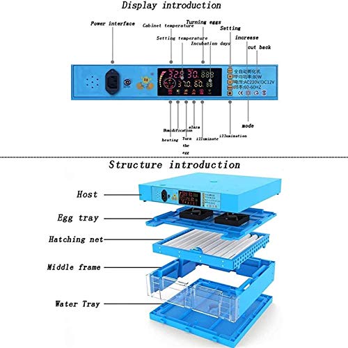 AJLDN Inkubatoren Vollautomatische, 192 Eier Intelligentes Brutmaschine Inkubator Motorbrüter Hühner mit LED… – Bild 3