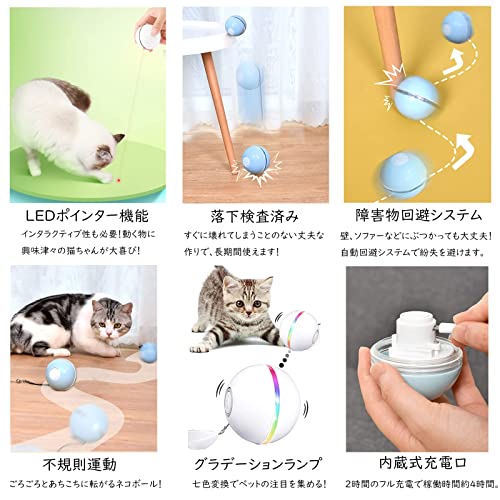 ワテの警告 ペットが失明の恐れ レーザーポインターは危険だ Ledタイプは安全か