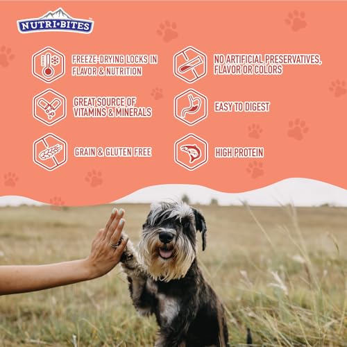 Image of Nutri Bites Freeze-Dried Salmon Dog & Cat Treats, Single Ingredient, 2-Pack