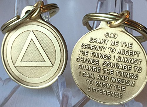 Wendells Circle Triangle AA Key Chain 1