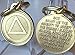 Circle Triangle AA Key Chain 1" Bronze Alcoholics Anonymous Key Tag Charm