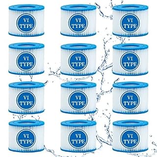 SXEIAV lot de 12 cartouches filtrantes type VI pour spa