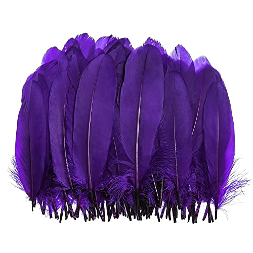Piokio 100 pcs Natural Purple Goose Feathers in Bulk 6-8 inch(15-20 cm) for Cupcake Decorations, DIY Art and Dreamcatcher