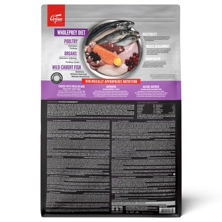 Orijen Kitten | Doppelpack | 2 x 340 g | Alleintrockenfutter für Katzen | Kann dabei helfen Kitten optimal zu versorgen | Enthält 15 frische oder rohe Zutaten | Mit Geflügel
