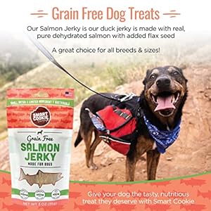Salmon Jerky Canine Treats  Dha  Omega Strips for Canines  Puppies with Allergy Symptoms Delicate Stomachs with Wild Caught Alaskan Salmon Dehydrated Grain Free Made in Usa  3oz Bag Pack of 1  Cucciolini Doodles Salmon jerky canine treats  dha  omega strips for canines  puppies with allergy symptoms delicate stomachs with wild caught alaskan salmon  dehydrated grain free made in usa  3oz bag pack of 1   cucciolini doodles