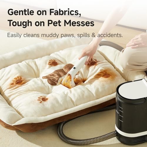 Image of Uwant Carpet Cleaner Machine with Powerful Suction for Pets with Cleaning Tools& Solution Carpet Steam Cleaner for Cars,Couch,Furniture Set of 1