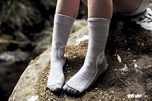 Icebreaker Men's Merino Hike+ Medium Crew Socks2