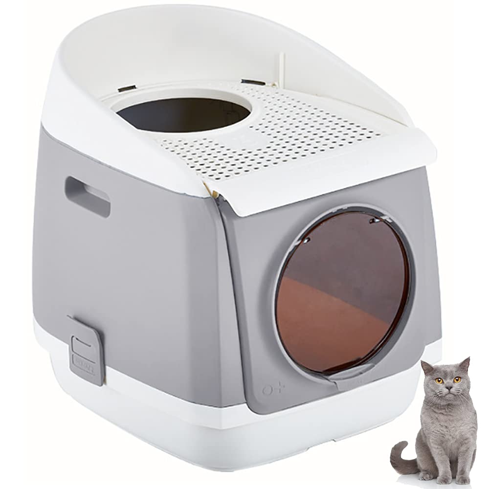 hop in cat litter box