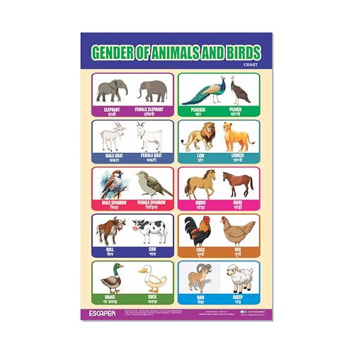 Image of ESCAPER Gender of Animals & Birds Educational Charts for Kids, (11.5 x 17.5 inches), Kids Study Material, Learning Chart, Perfect For Home Schooling, Nursery Students