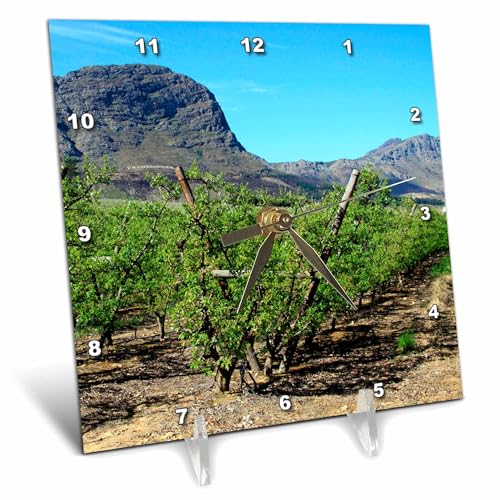 3dRose Vineyards of Franschoek, Western Cape, South Africa - AF42 MGL0019 - Miva Stock 6x6 Desk Clock