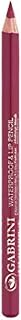 Gabrini Lip ve Eye Pencil 23