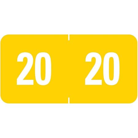 Amazon.com : Smead ETS Color-Coded Year Labels, 2020, Yellow ...