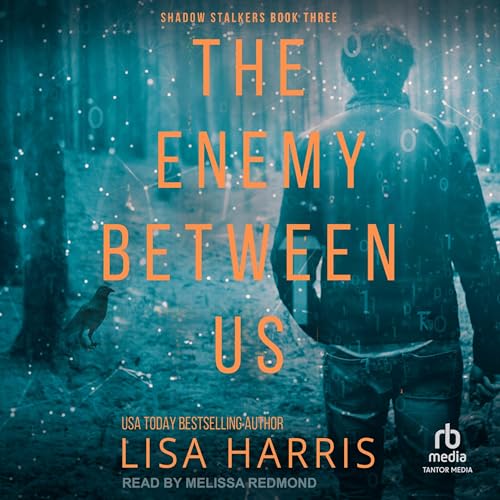 Enjoy The Enemy Between Us from Lisa Harris episode artwork