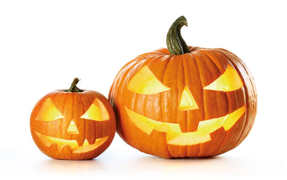 Image secondaire de Lot de 4 Ustensiles de Décoration pour Citrouilles - IBILI