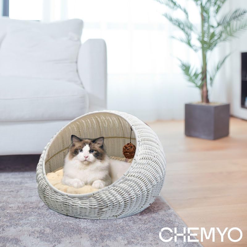 Cuccia per Gatti in Vimini, Cuccia per Gattini in Vimini, Cuccia in Rattan per Uso Interno ed Esterno, Cuccia Accogliente con Cuscino Morbido Lavabile 50x40x35 cm Bianco