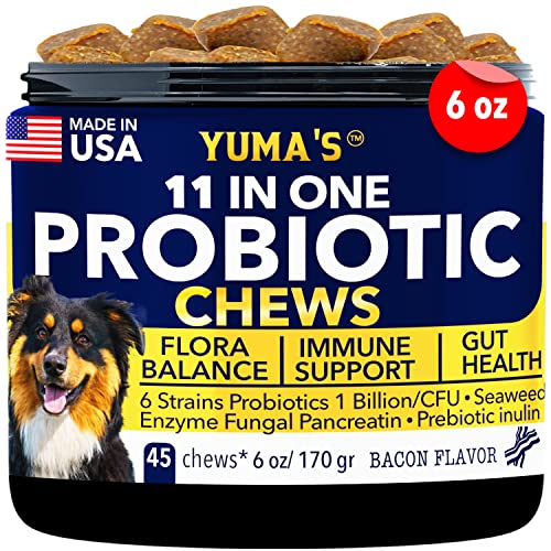Top 10 Dog Probiotics That Will Give Your Furry Friend a Healthy Gut in