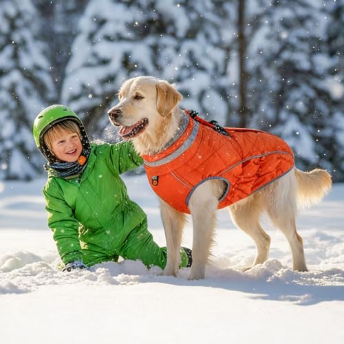 Abrigo de invierno para perro con cremallera azul talla L 8