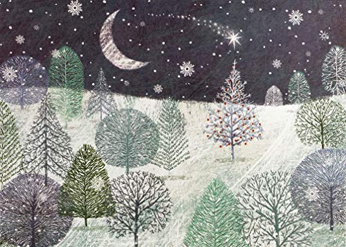 Cartes de Noël deluxe Peter Pauper Press coffret de correspondance à offrir
