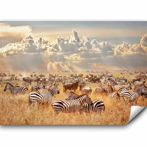 murando - Vlies Fototapete Afrika 350x256cm Foto Tapete Schlafzimmer...