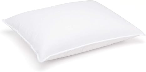 Downlite goose down pillow Clearance