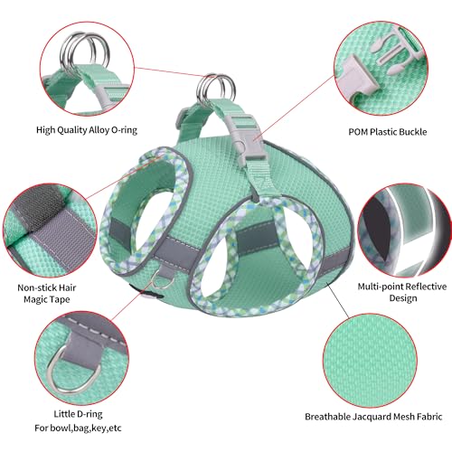 AIITLE Durable Hundegeschirr und Leine Set für Spaziergänge, Schritt in Welpengeschirr, weiche atmungsaktive Haustier Zubehör, reflektierende Bänder, für extra kleine Hunde und Hauskatzen Türkis XXXS