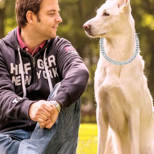 8-Zoll-Welpen-Zirkon-Kubanischer Kettenglied, Hunde-Kette mit Diamant-Kubanischem Kragen, Haustier-Kubanischer Kristallhalsband, Kubanische Hundeketten-Halskette