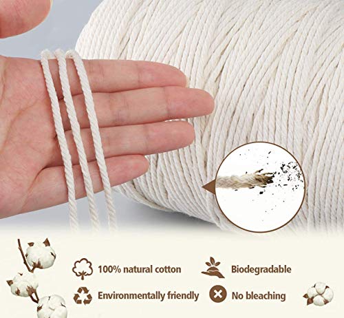 Image of ecofynd 200 Meters Cotton Cord | Natural White Dori | Rope for Handmade Plant Hanger | Thread for Wall Hanging Craft Making