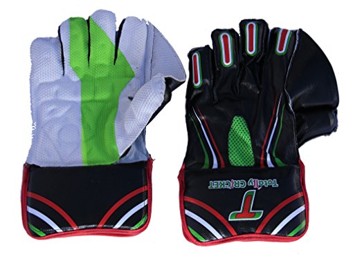 SS Wicket Keeping Gloves Dragon By Sunridges