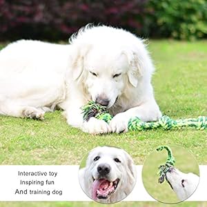 Vitscan-Upgraded-Nylon-Goose-Indestructible-Dog-Toys-for-Aggressive-ChewersTough-Dog-Toys-for-Large-Dogs-Medium-BreedDurable-Dog-Chew-Toys-for-TeethingHeavy-Duty-Big-Dog-Toys-Green-5-knot-rope - Cucciolini Doodles   Vitscan-Upgraded-Nylon-Goose-Indestructible-Dog-Toys-for-Aggressive-ChewersTough-Dog-Toys-for-Large-Dogs-Medium-BreedDurable-Dog-Chew-Toys-for-TeethingHeavy-Duty-Big-Dog-Toys-Green-5-knot-rope