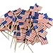 American Flag Decorative Party Toothpicks (200 Pack), Cupcake Picks, Drink Cocktail Picks
