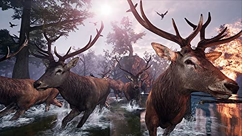 Perp Games Away : The Survival Series - vue 9