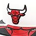 Mitchell & Ness (Premium) Chicago Bulls Snapback Hat Cap White/Black Foil