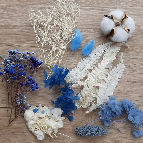 RTRTGS Natürliche Getrocknete Blumen, getrocknete hortensien, Trockenblumen Set, trockenblumen deko, für DIY Gepresste Blumen, Scrapbooking, DIY-Kerze, Schmuckanhänger Basteln