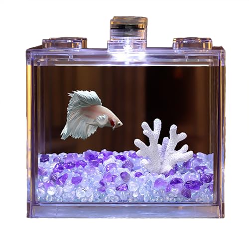  n fXNANAE Íe[}/e[} ^  LED Zbg fXNgbv fXNgbv MtgΉ (X[c)