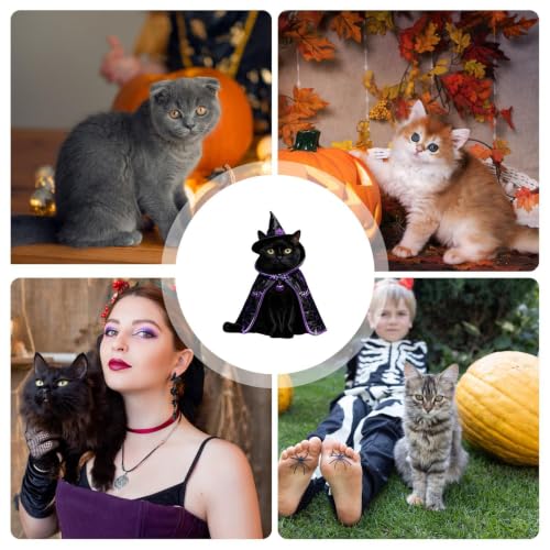 Trajes de disfraz de felinos que no estresan a tu mascota 5