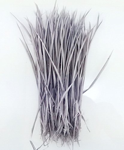 5''-9.5'' Feathers Fly Tying Materials for stonefly nymph split tails& down wings 50pcs/pack (gray)