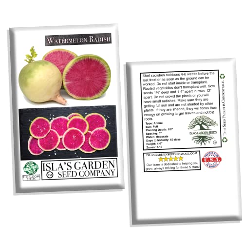 Watermelon Radish Seeds For Planting, 120+ Heirloom Seeds Per Packet, (Isla's Garden Seeds), Non Gmo Seeds, Botanical Name: Raphanus Sativus Acanthiformis, Great Home Garden Gift #TOP5