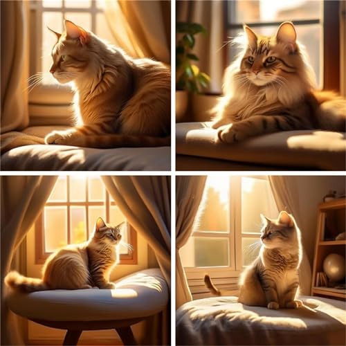Peinture diamant adulte chat et animaux | Kit de broderie 4 pack 80x80cm