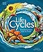 Life Cycles: Everything from Start to Finish