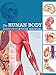 Human Body Identification Manual: Your body and how it works