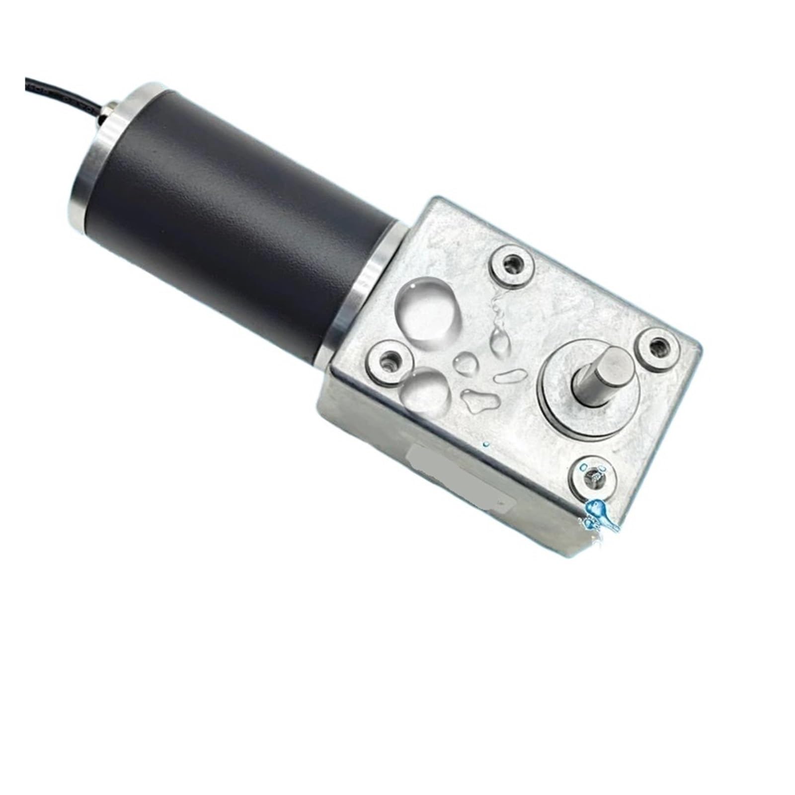 Moteur à réduction CC 24V avec engrenage entièrement métallique et couple 250kgf.cm
